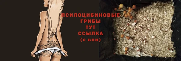 сатива Мегион