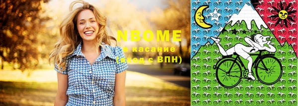 стафф Медногорск