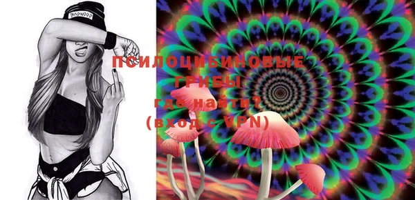 трава Медвежьегорск