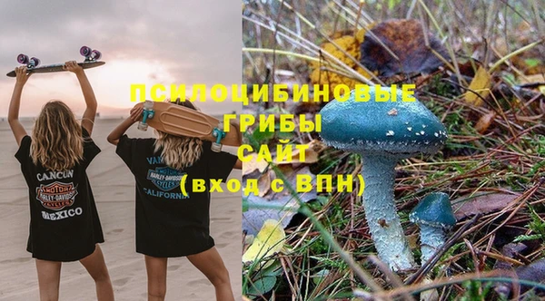 сатива Мегион