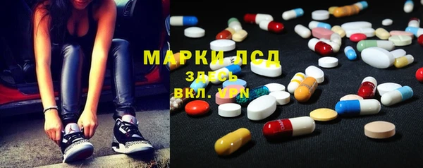 стафф Медногорск