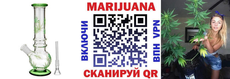 Купить  Новороссийск  Бошки Шишки ГИДРОПОН 